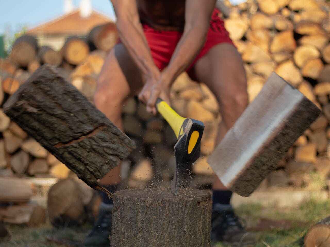 Dead Tree Removal in Archie, MO